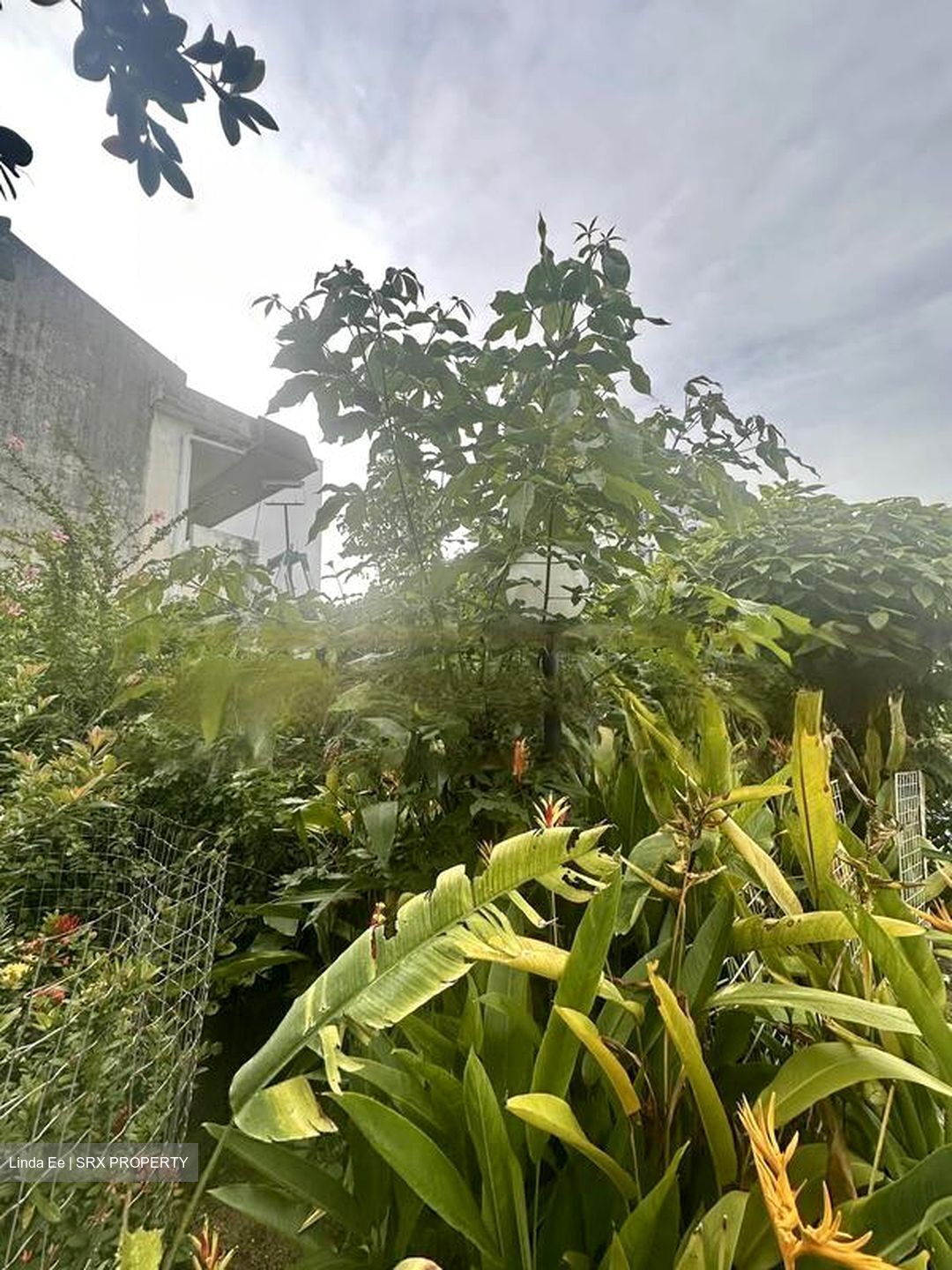 Changi Road (D14), Semi-Detached #465361691